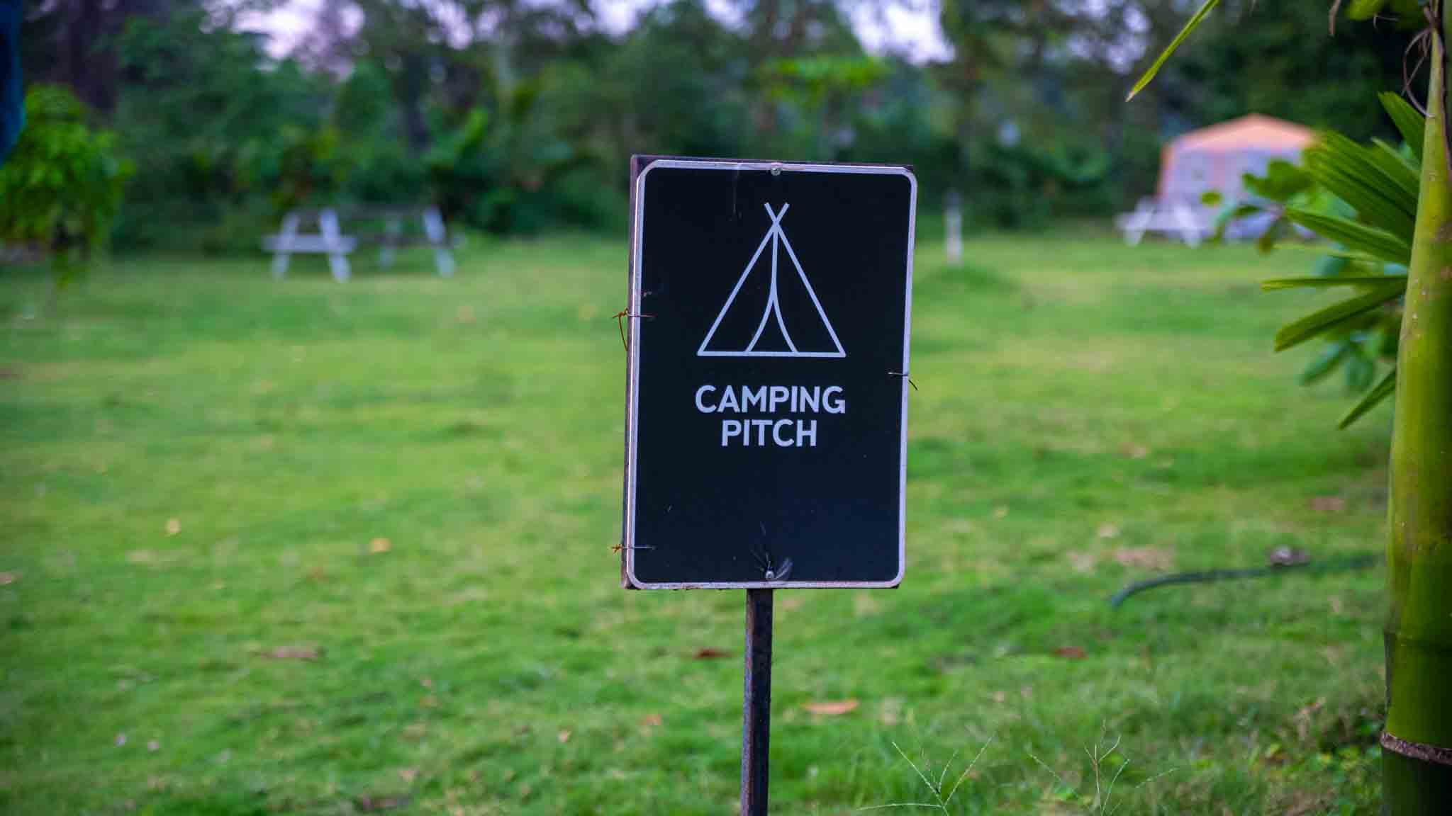 Explore the surrounding nature